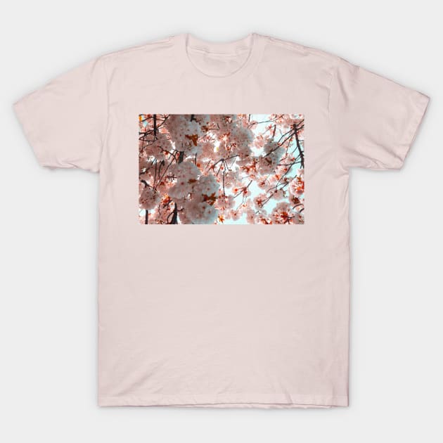 White Cherry Blossom Tree T-Shirt by Alemway